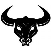 cropped-mechanical-bull-logo2.jpg
